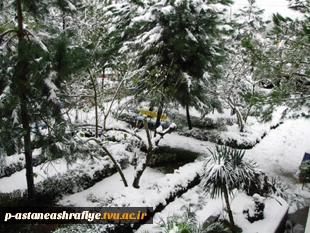 نمای برفی محوطه آموزشکده