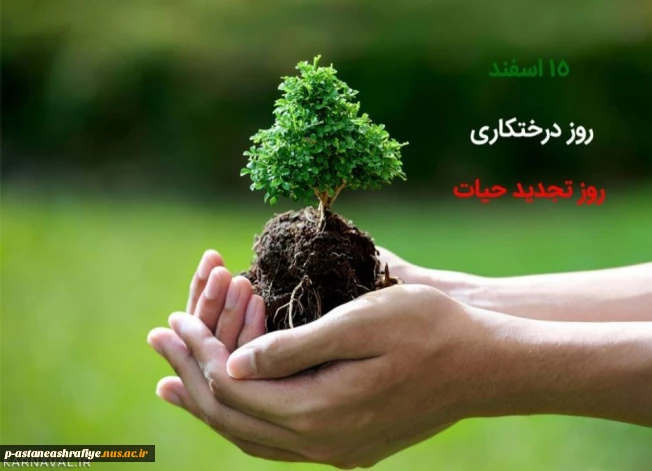 مراسم دختکاری اسفند ماه 1403